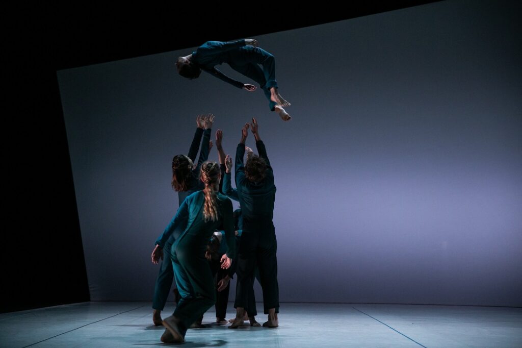 Natural Order of Things, de Guy Nader i Maria Campos © Martí Albesa