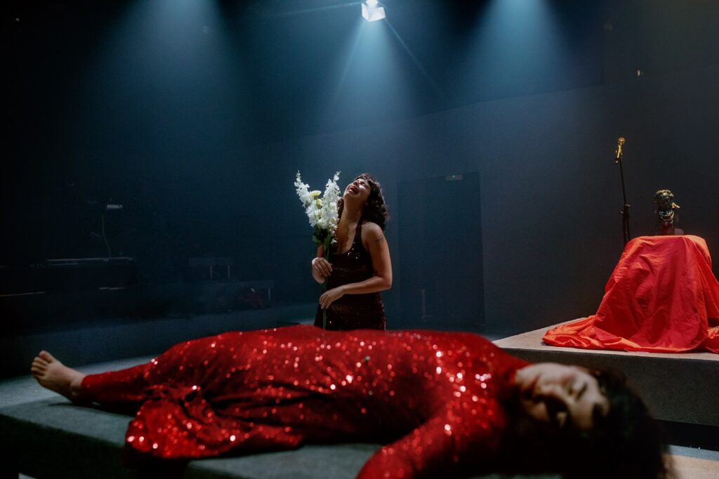 Del fandom al troleig © Celina Martins