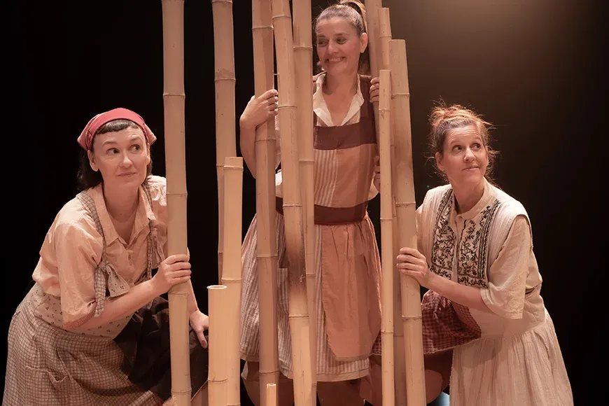 'Nallar'  © Inspira Teatre