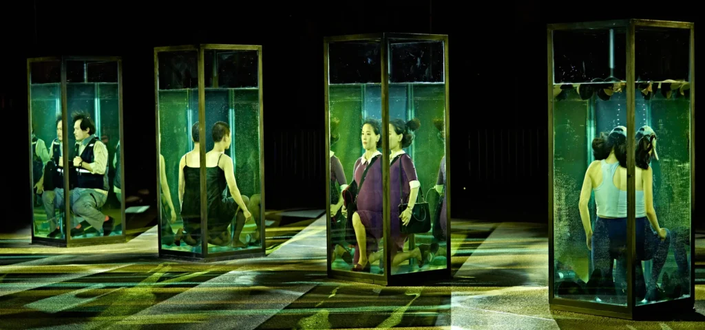 'Muljil', del col·lectiu Elephants Laugh © Marcos Gpunto